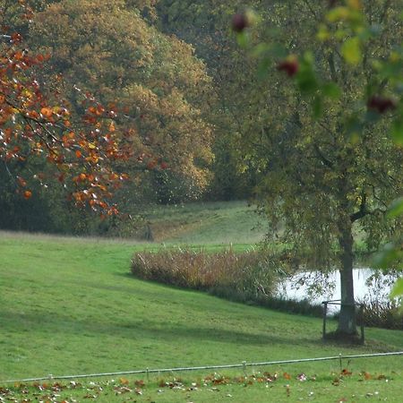 Woodlands Bed & Breakfast Barnt Green Exteriör bild