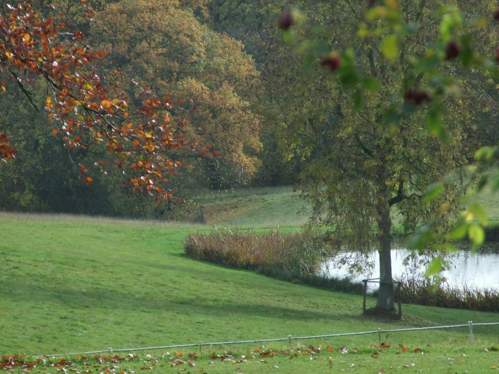 Woodlands Bed & Breakfast Barnt Green Exteriör bild